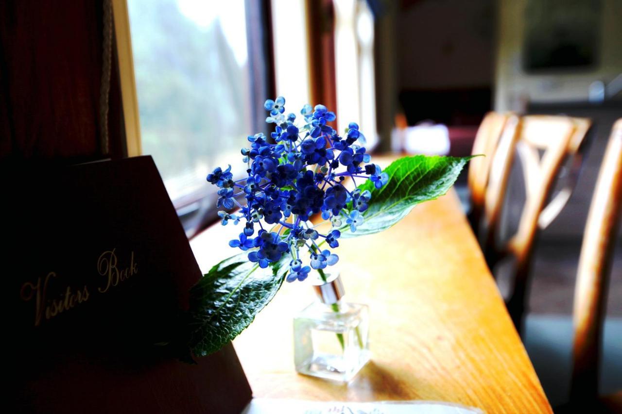 Woodlyn Park Motel ไวโตโมเคฟส์ ภายนอก รูปภาพ